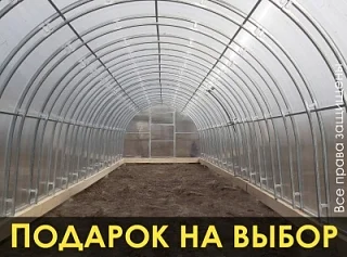 Теплица «СЕВЕРНАЯ» 3м